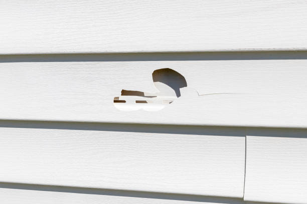 Best Shed Removal  in Kings Beach, CA